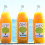 【ご依頼分】島の柑橘ジュース飲み比べセット(6本入り) 1リットル×6本 果物や野菜などのお取り寄せ宅配食材通販産地直送アウル