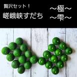 嵯峨峡すだちセット～極、雫～ 2kg 果物や野菜などのお取り寄せ宅配食材通販産地直送アウル