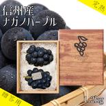 【贈答用】　厳選大玉ナガノパープル２〜３房（約１２００g） 約1.2kg 果物や野菜などのお取り寄せ宅配食材通販産地直送アウル