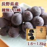 種無し巨峰1.6～1.8kg　　【信州長野県産】※2025年先行予約※　9月下旬より発送開始 1.6～1.8kg 果物や野菜などのお取り寄せ宅配食材通販産地直送アウル