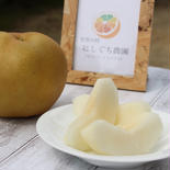 袋掛け栽培『豊水梨』小箱、和歌山、天空の村 6〜7個入り（約2ｋｇ）小箱 果物や野菜などのお取り寄せ宅配食材通販産地直送アウル