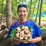 【小川様専用】原木生しいたけ2kg 普通サイズ　〜森から育てる香る木の子シリーズ〜 2kg 果物や野菜などのお取り寄せ宅配食材通販産地直送アウル