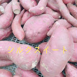 【訳あり大特価】らるふるのさつまいも〈シルクスイート〉5kg（サイズいろいろ） 5kg 果物や野菜などのお取り寄せ宅配食材通販産地直送アウル