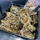 【冷凍かき】三重県産 加熱用 浦村かき カンカン焼き（ 1缶に約50個入り） S～Mサイズ 殻付き牡蠣　約45個前後 果物や野菜などのお取り寄せ宅配食材通販産地直送アウル