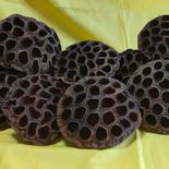 【貴重品】れんこん花托   乾燥品 120g～160g程度(20g前後/1個)  ８個～１０個入り 果物や野菜などのお取り寄せ宅配食材通販産地直送アウル