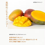 高知のごちそうマンゴー 5kg わけあり 5.0kg 果物や野菜などのお取り寄せ宅配食材通販産地直送アウル