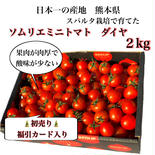 【初売】送料込み②食べ出したら止まらない！ソムリエミニトマト　ダイヤ約2kg（100玉から170玉） 2kg 果物や野菜などのお取り寄せ宅配食材通販産地直送アウル