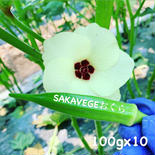 北海道配送 専用　オクラ100g✖️12 100g×12 果物や野菜などのお取り寄せ宅配食材通販産地直送アウル