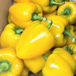 黄色パプリカ【1キロ】 約1キロ 果物や野菜などのお取り寄せ宅配食材通販産地直送アウル