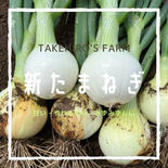 今が旬！芳醇新玉ねぎ８ｋｇ ８ｋｇ 果物や野菜などのお取り寄せ宅配食材通販産地直送アウル