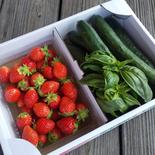 完熟やよいひめときゅうりバジルの詰合せ 🍓やよいひめ400g  きゅうり5本  バジル約３枝 果物や野菜などのお取り寄せ宅配食材通販産地直送アウル