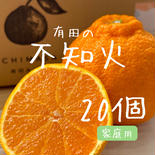 一政園　不知火　（5kg 20個　家庭用） 5キロ20個（家庭用） 果物や野菜などのお取り寄せ宅配食材通販産地直送アウル