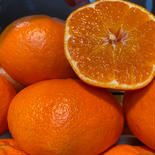 【愛媛県限定柑橘】🍊甘平🍊出ました♪（3.0k入） 3.0k入 果物や野菜などのお取り寄せ宅配食材通販産地直送アウル