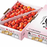 2箱　山形県産　さくらんぼ佐藤錦　700グラム　秀品贈答用 700グラムx2箱 果物や野菜などのお取り寄せ宅配食材通販産地直送アウル