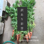 【訳あり】人参＊彩誉＊秋 5kg(箱込み) 果物や野菜などのお取り寄せ宅配食材通販産地直送アウル