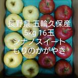 長野県 五輪久保産シナノスイート×もりのかがやき5kg16玉 5kg 果物や野菜などのお取り寄せ宅配食材通販産地直送アウル