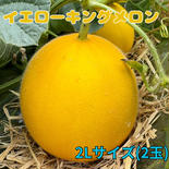 イエローキング2L2玉 2.0〜2.8kg 果物や野菜などのお取り寄せ宅配食材通販産地直送アウル