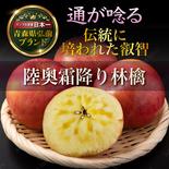 🍎海外セレブ御用達🍎林檎の本場青森弘前ブランドが誇る幸運の『霜降り林檎』お得な大容量パッケージリンゴ【11月上旬発送】🍎アウルの日🍎 霜降り林檎10～12個 果物や野菜などのお取り寄せ宅配食材通販産地直送アウル