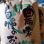 宮崎県産の2025年新米無洗米コシヒカリ5kg コシヒカリ5kg 果物や野菜などのお取り寄せ宅配食材通販産地直送アウル