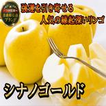 🍎強運を引き寄せるシナノゴールド🍎高糖度×柑橘系の酸味で富裕層も好む贈り物として人気の縁起深い林檎【冬ギフト】～品種指定キャンペーンお試し特価～約1㎏ シナノゴールド5～6個 果物や野菜などのお取り寄せ宅配食材通販産地直送アウル