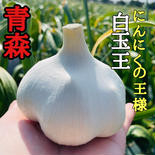 【残りわずか】青森にんにく白玉王10玉⭐️月1,000箱売れてます⭐️ 青森にんにく白玉王10玉（中玉） 果物や野菜などのお取り寄せ宅配食材通販産地直送アウル