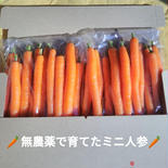 愛情たっぷり育てた寒締めミニ人参350g×2袋★パチャママ農園 ミニ人参350ｇ×2袋 果物や野菜などのお取り寄せ宅配食材通販産地直送アウル