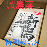 新米　甘くて美味しい！ 新潟県産コシヒカリ　減農薬の特別栽培米🌾玄米5kg 玄米5kg 果物や野菜などのお取り寄せ宅配食材通販産地直送アウル
