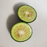 【予約割引 A品】露地栽培　へべす　約1.8キロ 約1.8キロ 果物や野菜などのお取り寄せ宅配食材通販産地直送アウル