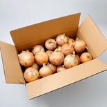 淡路島新玉ねぎ　小ぶり品１０ｋｇ １０ｋｇ 果物や野菜などのお取り寄せ宅配食材通販産地直送アウル