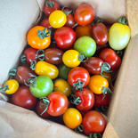 食べ比べ😋湖国のミニトマト5種類以上詰め🍅 ミニトマト5種類以上箱込み2kg 果物や野菜などのお取り寄せ宅配食材通販産地直送アウル