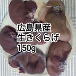 仁方ファームの国産生きくらげ150g2袋 150g2袋 果物や野菜などのお取り寄せ宅配食材通販産地直送アウル