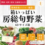 【関西・北陸・東海・信越へ配送の方】60サイズ箱いっぱい房総旬野菜詰め合わせ（60サイズ箱） 60サイズ箱いっぱい 果物や野菜などのお取り寄せ宅配食材通販産地直送アウル