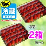 ２箱クール★新鮮朝採り★かんちゃん農園の甘いいちご 箱込み700g×２箱 果物や野菜などのお取り寄せ宅配食材通販産地直送アウル