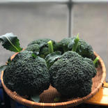 《北海道産》採れたて！ブロッコリー１２個 ブロッコリー１２個 果物や野菜などのお取り寄せ宅配食材通販産地直送アウル