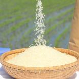 【令和4年産 新米】 あきたこまち10㎏（白米）特別栽培米 白米10㎏ 果物や野菜などのお取り寄せ宅配食材通販産地直送アウル