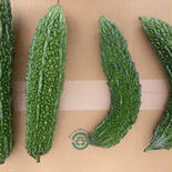 鹿児島県産！ゴーヤB級品！15本セット！ 4.0kg 果物や野菜などのお取り寄せ宅配食材通販産地直送アウル