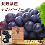 【信州長野県産】※2025年先行予約※　皮ごと食べられる！ナガノパープル1.6～1.8kg 8月下旬より発送開始 1.6～1.8kg 果物や野菜などのお取り寄せ宅配食材通販産地直送アウル