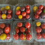 北海道産　採れたてカラフル　ミニトマトミックス　1.8k ミニトマトミックス　180g 10パック 果物や野菜などのお取り寄せ宅配食材通販産地直送アウル
