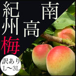訳あり　3LーL  南高梅5.0kg 5.0kg 果物や野菜などのお取り寄せ宅配食材通販産地直送アウル