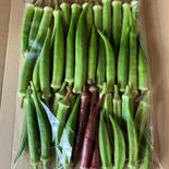 自然栽培オクラ500g3種食べ比べセット オクラ500g 果物や野菜などのお取り寄せ宅配食材通販産地直送アウル