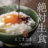 寒たまご（縁起物）えごまたまご35個＋５個入　冷蔵便 35個＋破損保証５個入 果物や野菜などのお取り寄せ宅配食材通販産地直送アウル