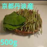 丹波ラッキーファーム ふき 500g 果物や野菜などのお取り寄せ宅配食材通販産地直送アウル