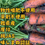 糖度10【有機JAS人参5kg】エグ味無し。野菜が苦手なお子様にも安心 5kg 果物や野菜などのお取り寄せ宅配食材通販産地直送アウル