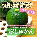 高知県産 ぶしゅかん 17-20玉 酢みかん ぶしゅかん17-20玉 果物や野菜などのお取り寄せ宅配食材通販産地直送アウル