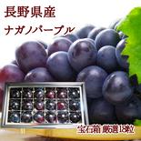 ナガノパープルの宝石箱18粒　【信州長野県産】※2025年先行予約※　8月下旬より発送開始 18粒 果物や野菜などのお取り寄せ宅配食材通販産地直送アウル