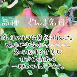 ぐんま名月5kg ぐんま名月5kg（13〜18玉） 果物や野菜などのお取り寄せ宅配食材通販産地直送アウル