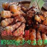 【最終‼️】免疫アップ(生)秋ウコン 500g前後(少々土付き) 果物や野菜などのお取り寄せ宅配食材通販産地直送アウル