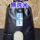 令和6年青森県産無洗米はれわたり5kg 5kg 果物や野菜などのお取り寄せ宅配食材通販産地直送アウル