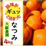 希少品種【なつみ】 ４kg 果物や野菜などのお取り寄せ宅配食材通販産地直送アウル