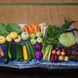 『常温便』【群馬県産】季節の野菜Lセット13～14品(農薬、化学肥料不使用) 100サイズ 10キロ以下 果物や野菜などのお取り寄せ宅配食材通販産地直送アウル